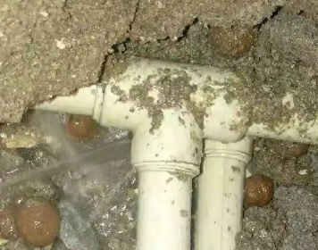 扎兰屯测漏水多少钱