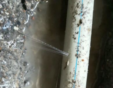 扎兰屯测漏水哪家好