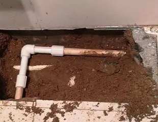 扎兰屯测漏水哪家好