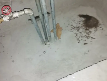 扎兰屯卫生间测漏水价格明细