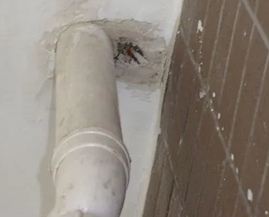 扎兰屯漏水检测哪家好